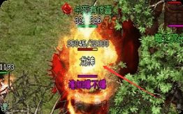 回归必看：传奇私服里那些让你少走3天弯路的细节